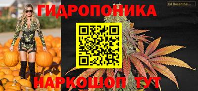 гашик Волгодонск