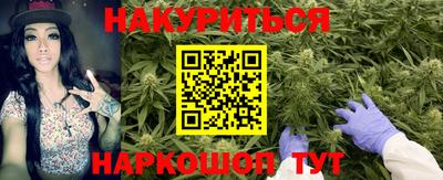 гашик Волгодонск