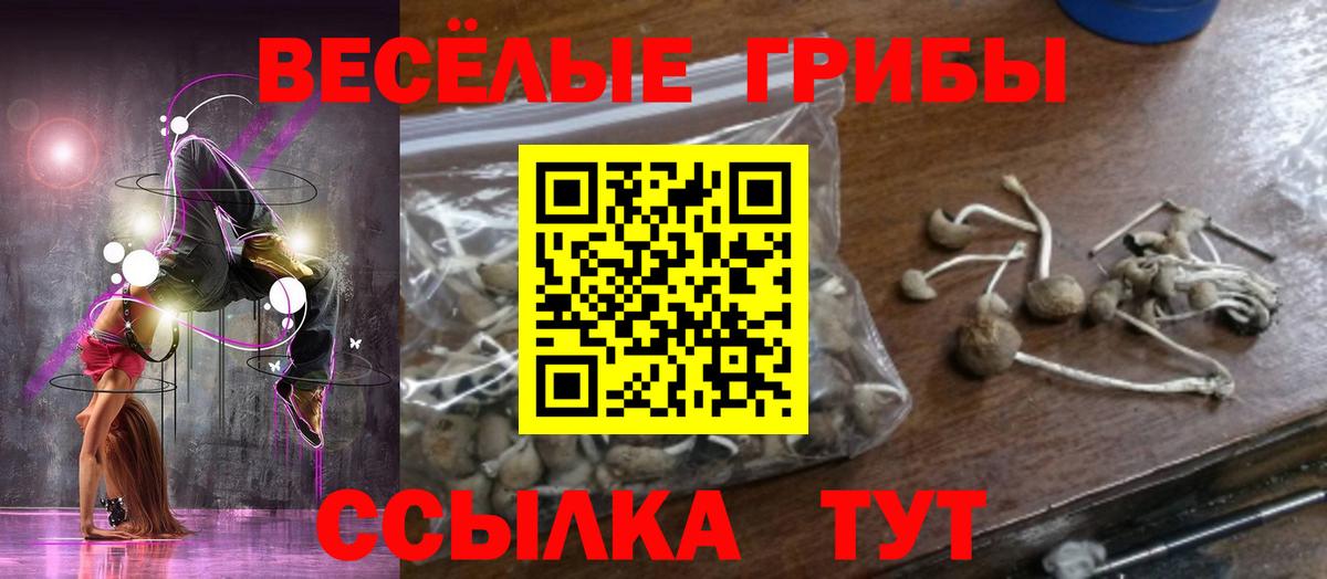 цены   Галлюциногенные грибы Psilocybe  Вход с VPN  Белово 