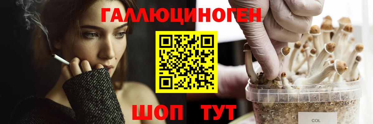 Галлюциногенные грибы Psilocybine cubensis Белово